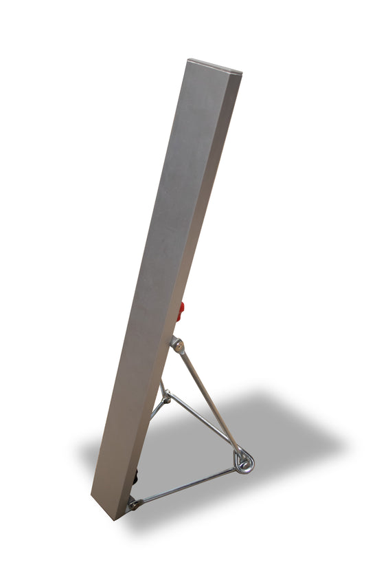 Desktop rigid display strut
