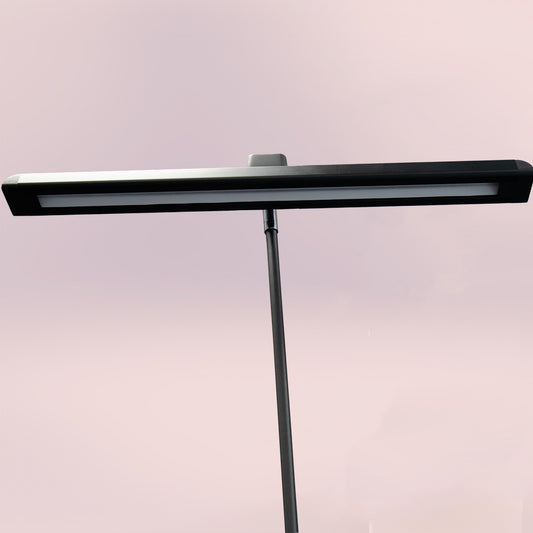 LED widespread display light 20W