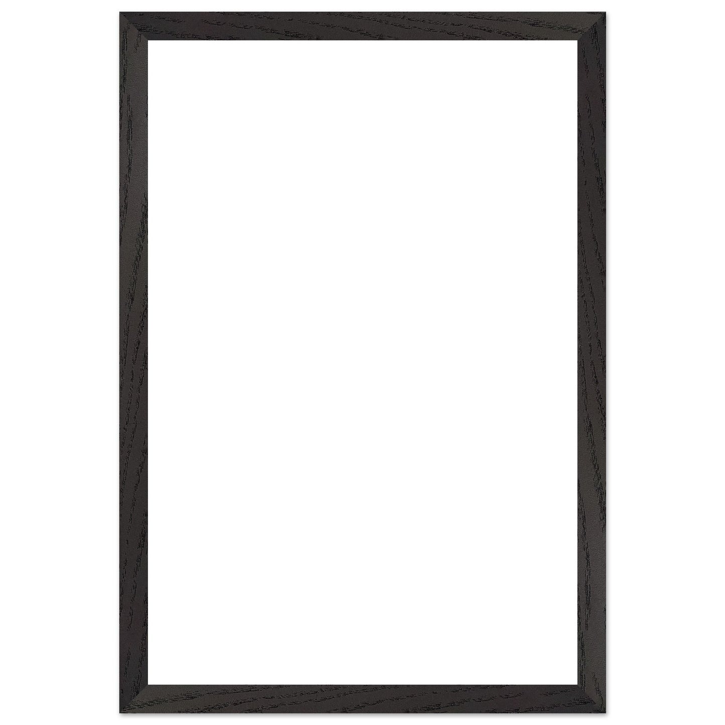 c03697c1-bc52-4670-b39d-fafaa2a98910