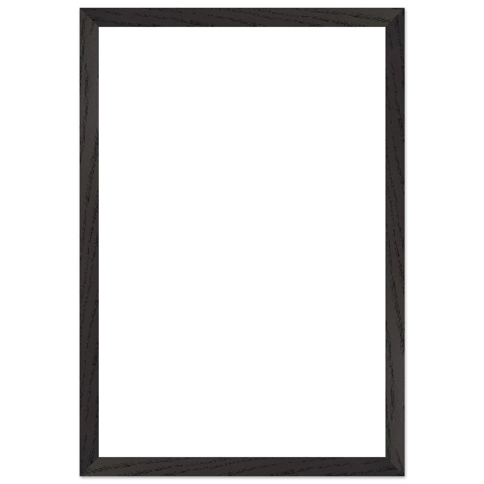 c03697c1-bc52-4670-b39d-fafaa2a98910