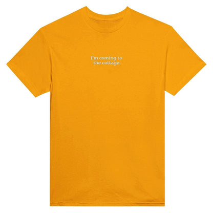 Embroidered T-Shirt, Heated Rivalry Romance Inspired Tee, Subtle Fandom Clothing, Book Lover Gift