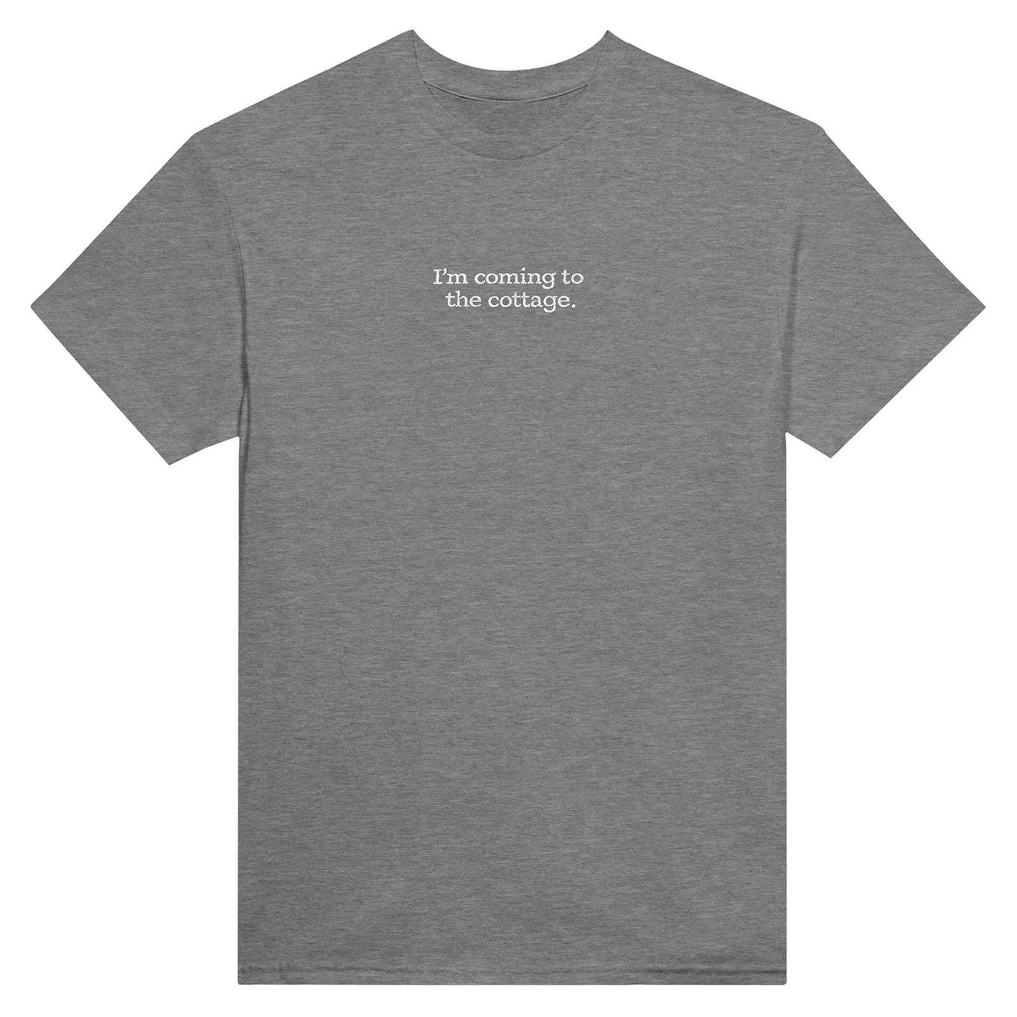 Embroidered T-Shirt, Heated Rivalry Romance Inspired Tee, Subtle Fandom Clothing, Book Lover Gift