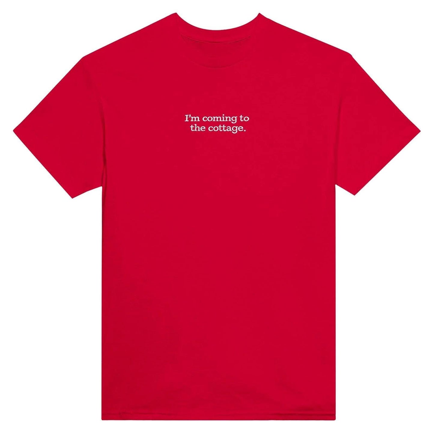 Embroidered T-Shirt, Heated Rivalry Romance Inspired Tee, Subtle Fandom Clothing, Book Lover Gift