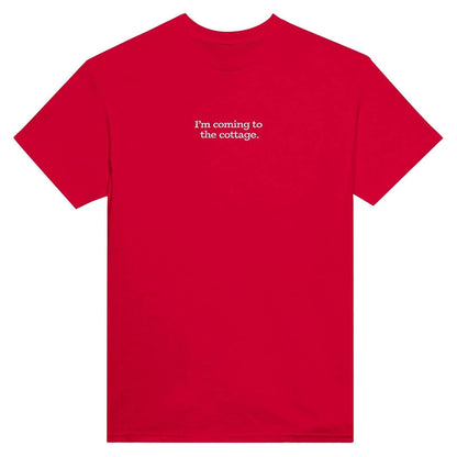 Embroidered T-Shirt, Heated Rivalry Romance Inspired Tee, Subtle Fandom Clothing, Book Lover Gift