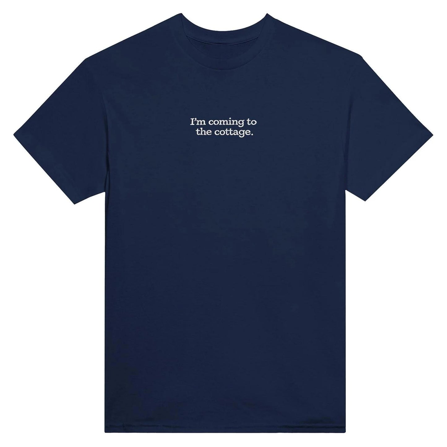 Embroidered T-Shirt, Heated Rivalry Romance Inspired Tee, Subtle Fandom Clothing, Book Lover Gift