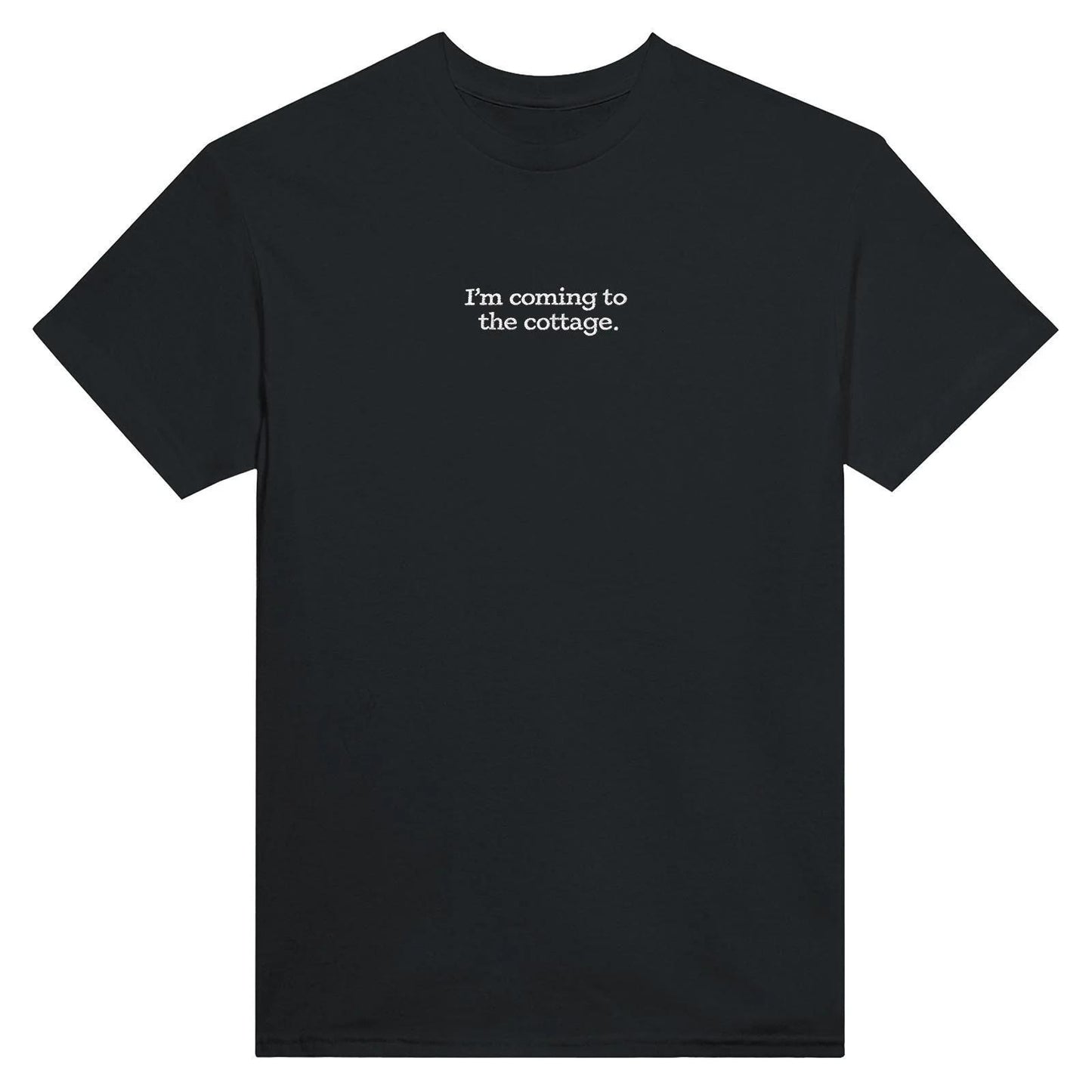 Embroidered T-Shirt, Heated Rivalry Romance Inspired Tee, Subtle Fandom Clothing, Book Lover Gift