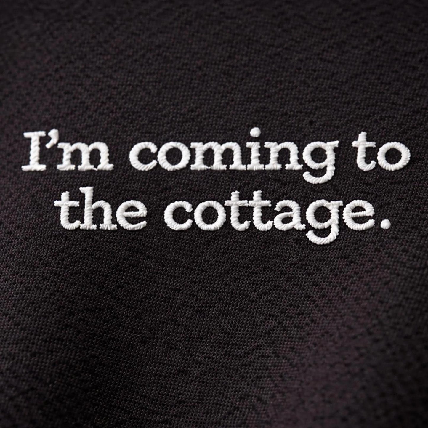Embroidered T-Shirt, Heated Rivalry Romance Inspired Tee, Subtle Fandom Clothing, Book Lover Gift