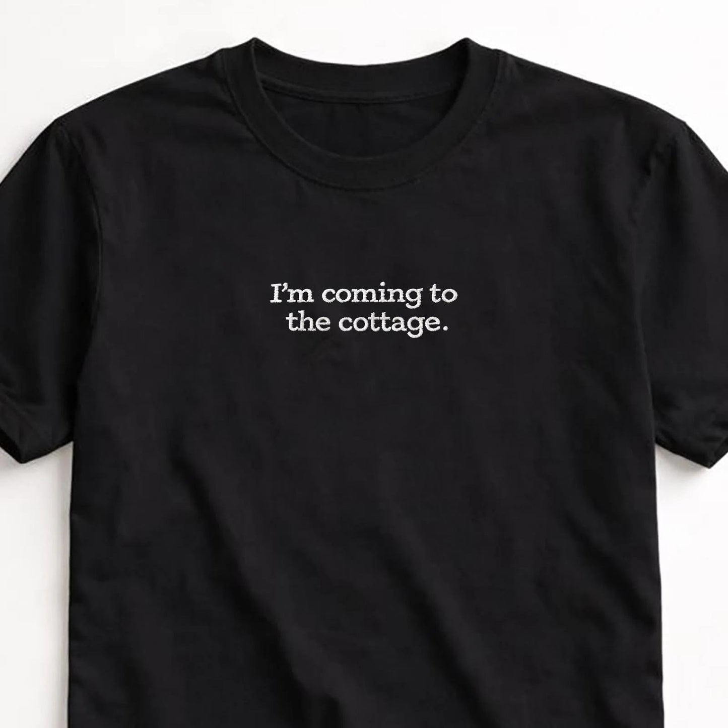 Embroidered T-Shirt, Heated Rivalry Romance Inspired Tee, Subtle Fandom Clothing, Book Lover Gift