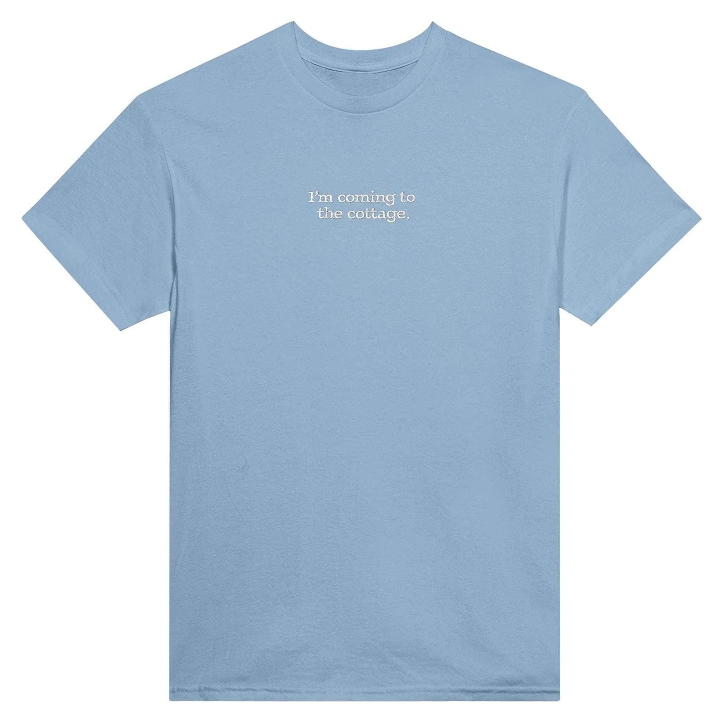 Embroidered T-Shirt, Heated Rivalry Romance Inspired Tee, Subtle Fandom Clothing, Book Lover Gift