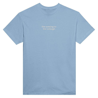 Embroidered T-Shirt, Heated Rivalry Romance Inspired Tee, Subtle Fandom Clothing, Book Lover Gift