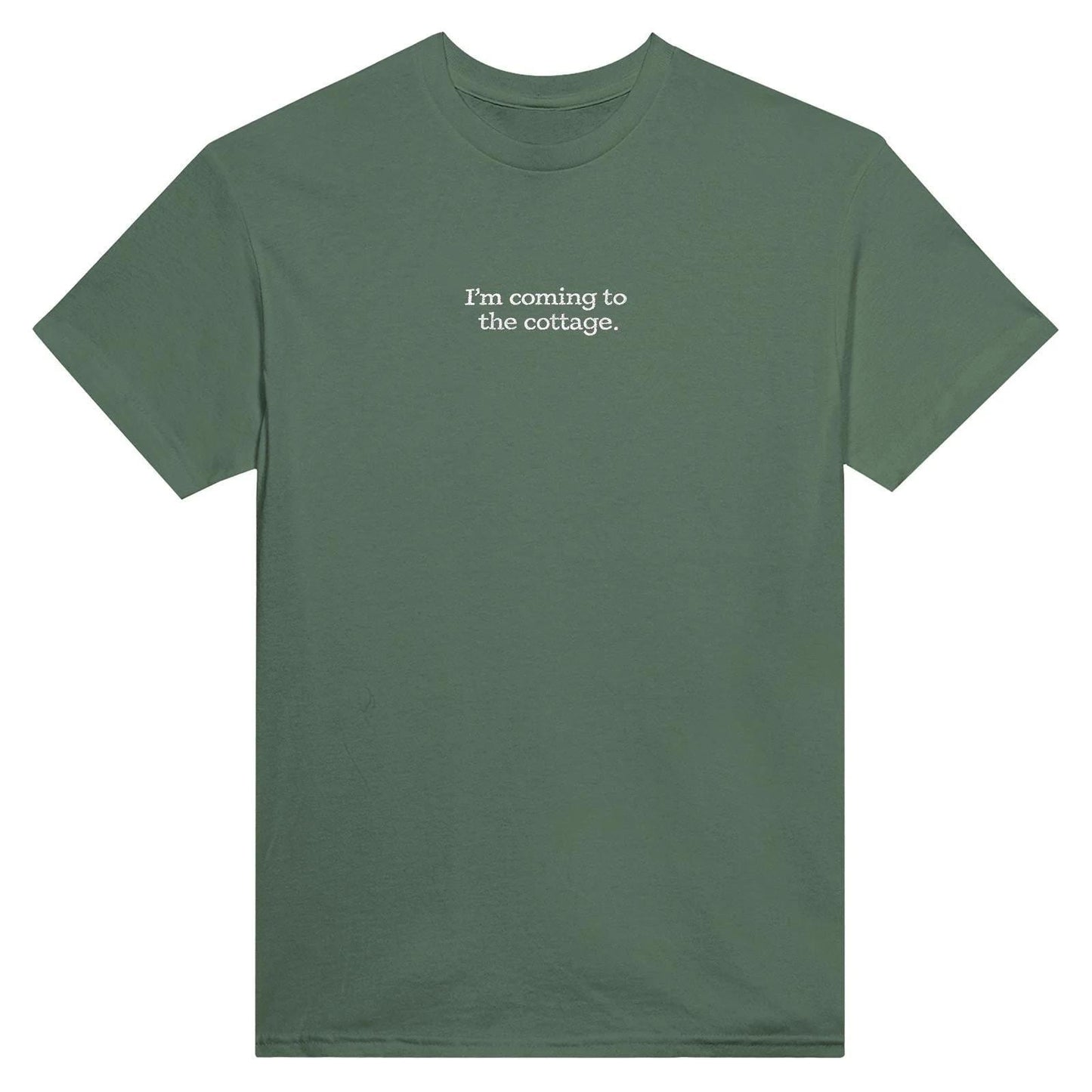 Embroidered T-Shirt, Heated Rivalry Romance Inspired Tee, Subtle Fandom Clothing, Book Lover Gift