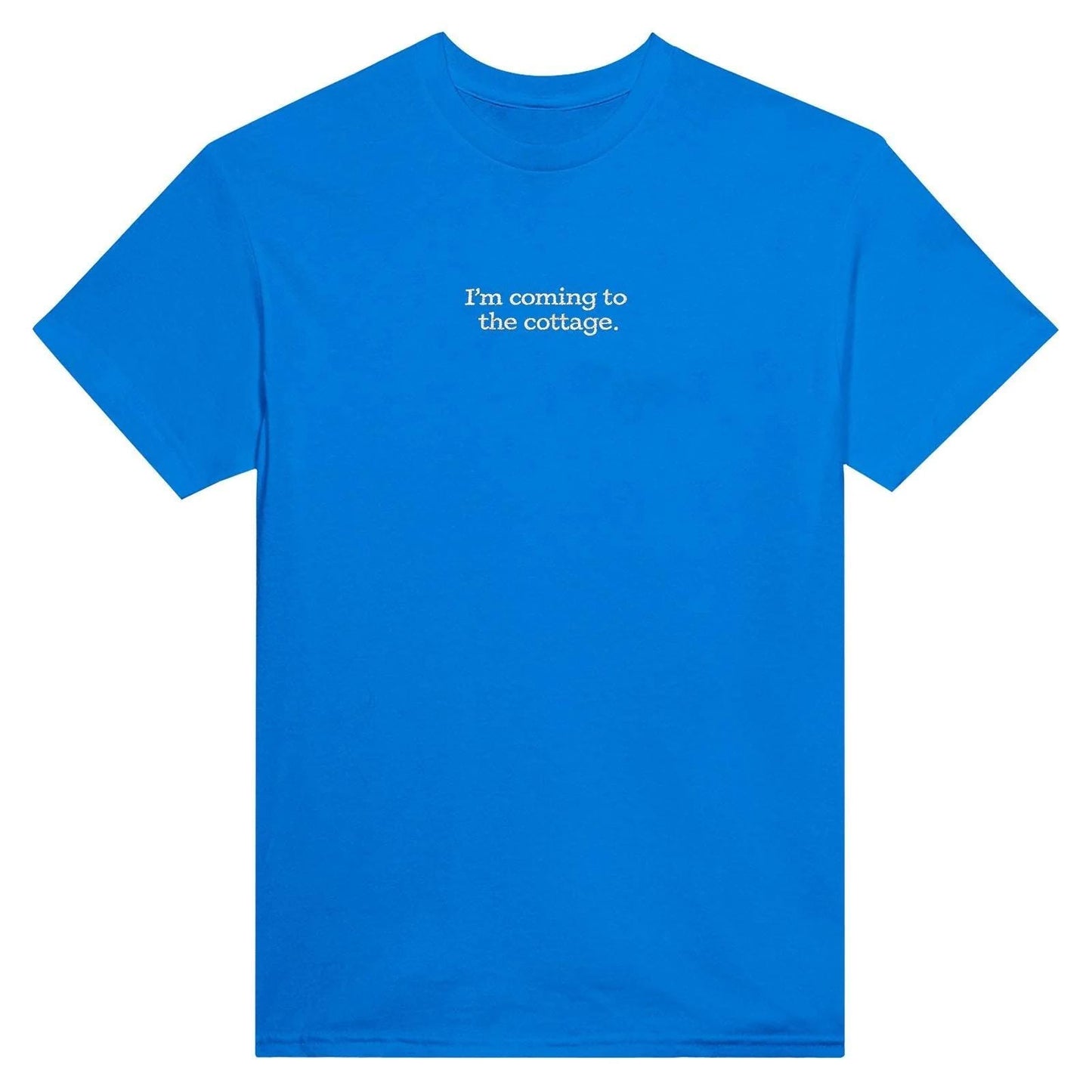 Embroidered T-Shirt, Heated Rivalry Romance Inspired Tee, Subtle Fandom Clothing, Book Lover Gift