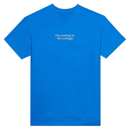 Embroidered T-Shirt, Heated Rivalry Romance Inspired Tee, Subtle Fandom Clothing, Book Lover Gift