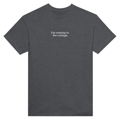 Embroidered T-Shirt, Heated Rivalry Romance Inspired Tee, Subtle Fandom Clothing, Book Lover Gift